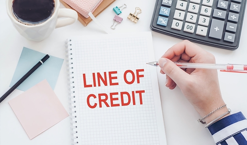 Understanding Business Lines of Credit: A Flexible Financial Tool for Growth